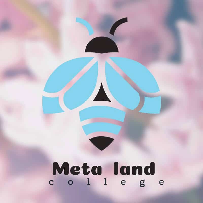 Meta land college